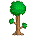 Terraria